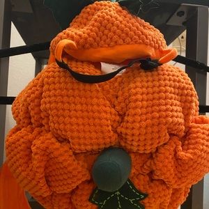 Pumpkin Halloween dog costume